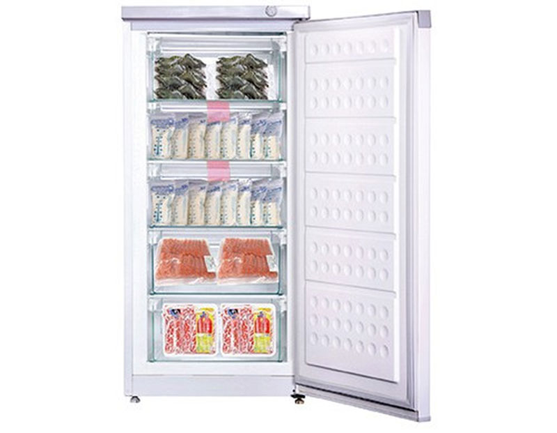 Tủ đông đứng Hòa Phát HUF-350SR1 - Hàng chính hãng