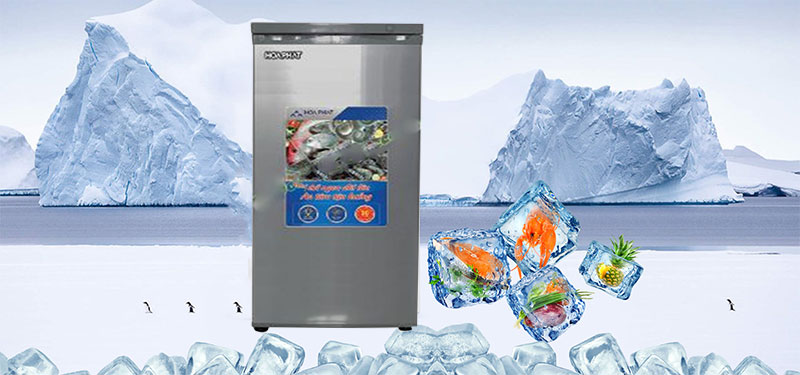 Tủ đông đứng Hòa Phát HUF-450PR1 - Hàng chính hãng