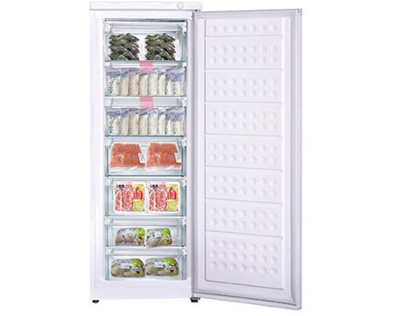 Tủ đông đứng Hòa Phát HUF-450SR1 - Hàng chính hãng