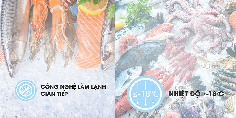 Tủ đông đứng Sanaky VH-1368K - Hàng chính hãng