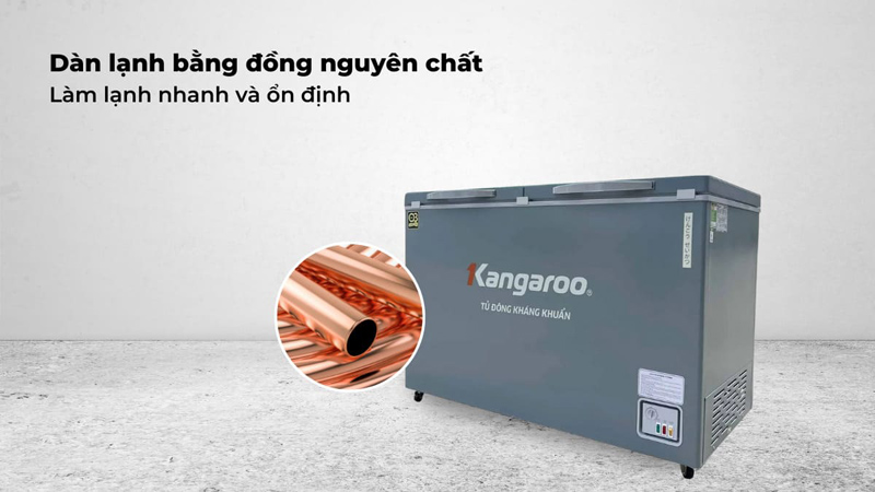 Tủ đông kháng khuẩn 327 lít KGFZ389NK2 - Hàng chính hãng