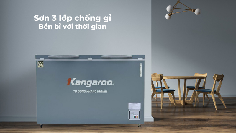 Tủ đông kháng khuẩn 327 lít KGFZ389NK2 - Hàng chính hãng