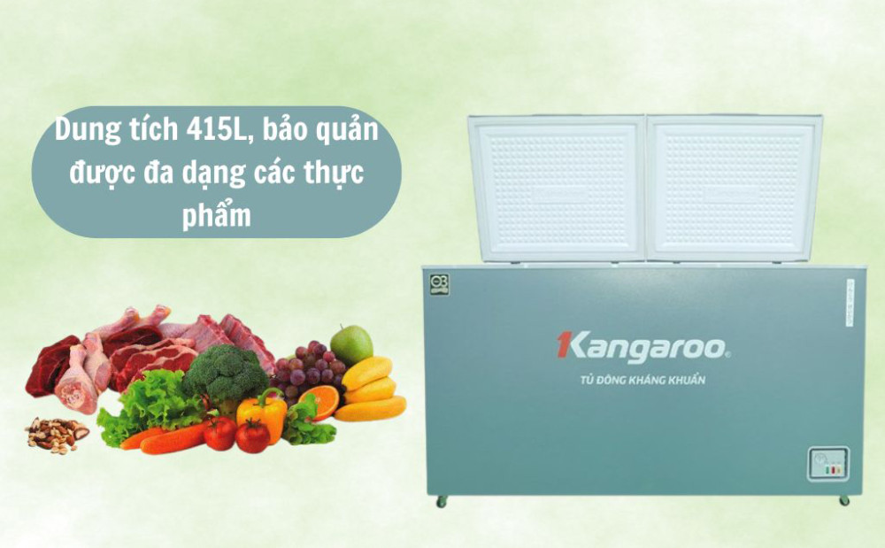 Tủ đông nằm dung tích 415L, bảo quản được đa dạng thực phẩm