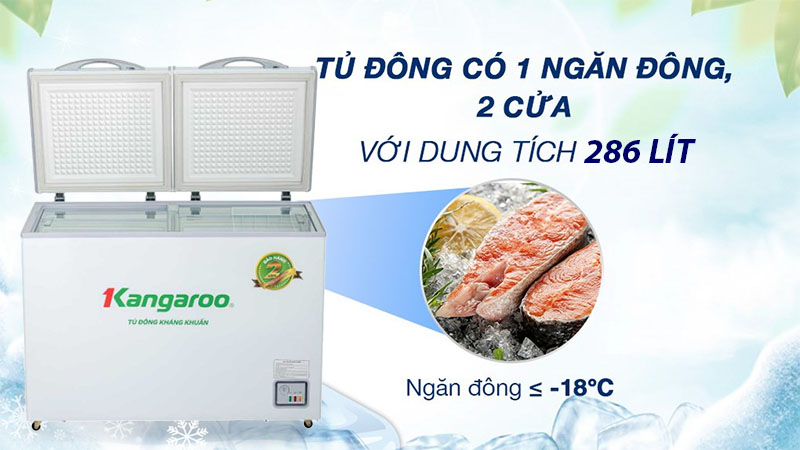 Tủ đông kháng khuẩn Kangaroo 286 lít KG399NC1 - Hàng chính hãng
