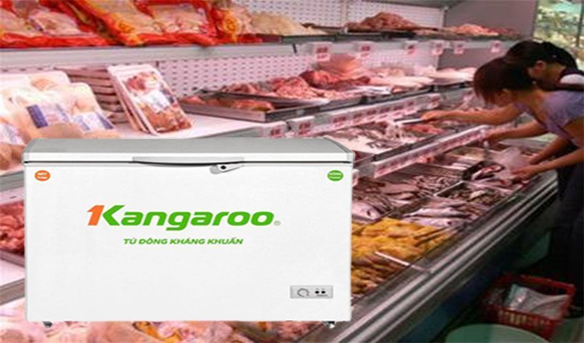 Ứng dụng của tủ đông kháng khuẩn Kangaroo KG235C1