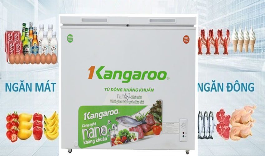 Tủ đông kháng khuẩn Kangaroo KG268C2 - Hàng chính hãng
