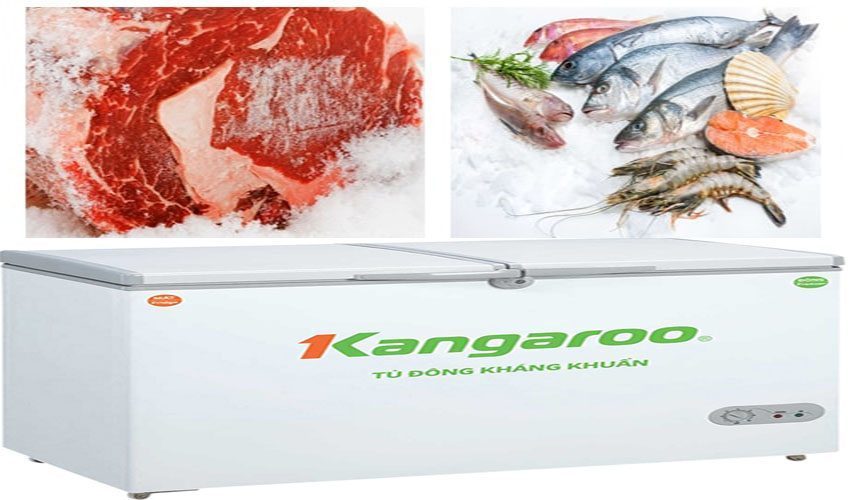 Ứng dụng của tủ đông kháng khuẩn Kangaroo KG388C1