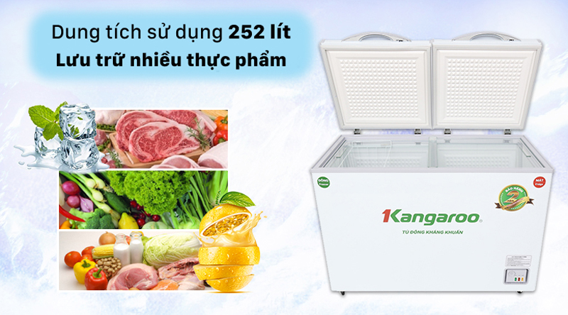 Tủ đông kháng khuẩn Kangaroo KG400NC2 - Hàng chính hãng