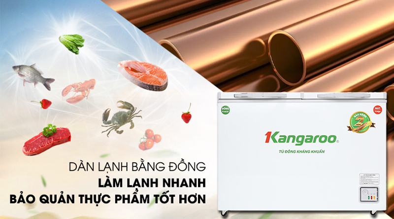 Tủ đông kháng khuẩn Kangaroo KG400NC2 - Hàng chính hãng