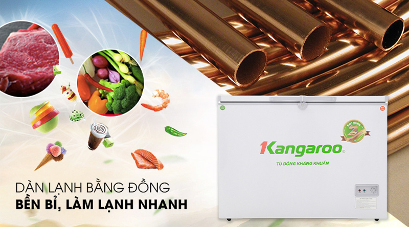 Tủ đông kháng khuẩn Kangaroo KG298C2 - Hàng chính hãng