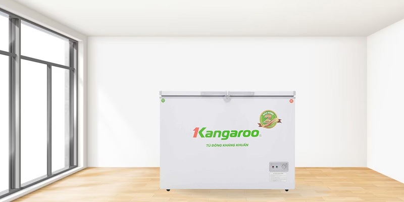 Tủ đông kháng khuẩn Kangaroo KG298C2 - Hàng chính hãng