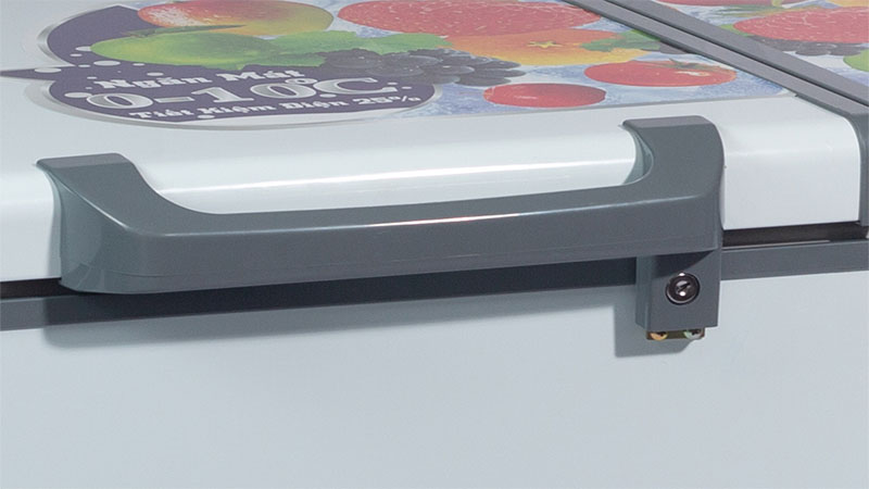 Tủ đông mát 250L Darling DMF-2999WE - Hàng chính hãng