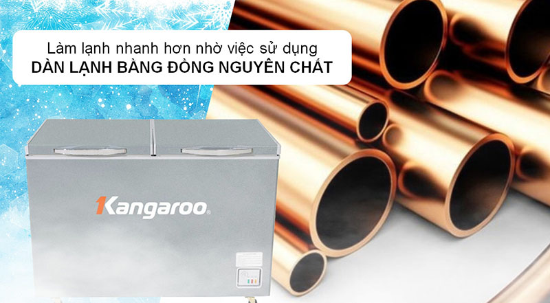 Tủ đông mát kháng khuẩn Kangaroo 252 lít KGFZ318NG2 - Hàng chính hãng