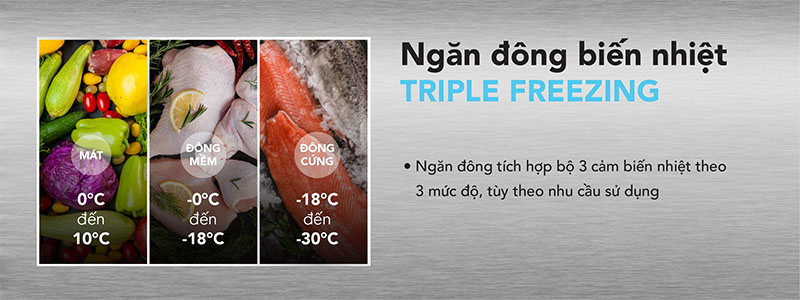 Tủ đông cánh kính Hòa Phát HPF-BD6245.T1 - Hàng chính hãng