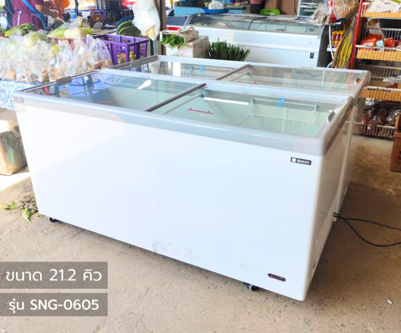 Tủ đông Sanden Intercool SNG-0605 - Hàng chính hãng