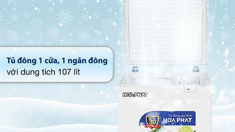Tủ đông mini Hòa Phát HPF-AD6107 - Hàng chính hãng