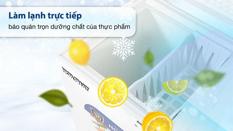 Tủ đông mini Hòa Phát HPF-AD6107 - Hàng chính hãng