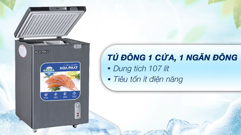 Tủ đông mini Hòa Phát HPF-AD6107G - Hàng chính hãng