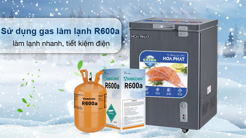 Tủ đông mini Hòa Phát HPF-AD6107G - Hàng chính hãng