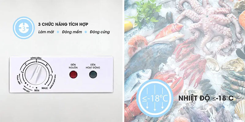 Tủ đông nằm Sanaky VH-2899A2KD - Hàng chính hãng