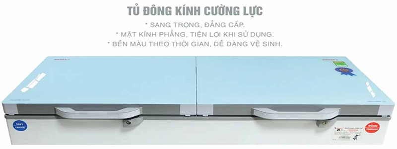 Tủ đông nằm Sanaky VH4099A2KD - Hàng chính hãng
