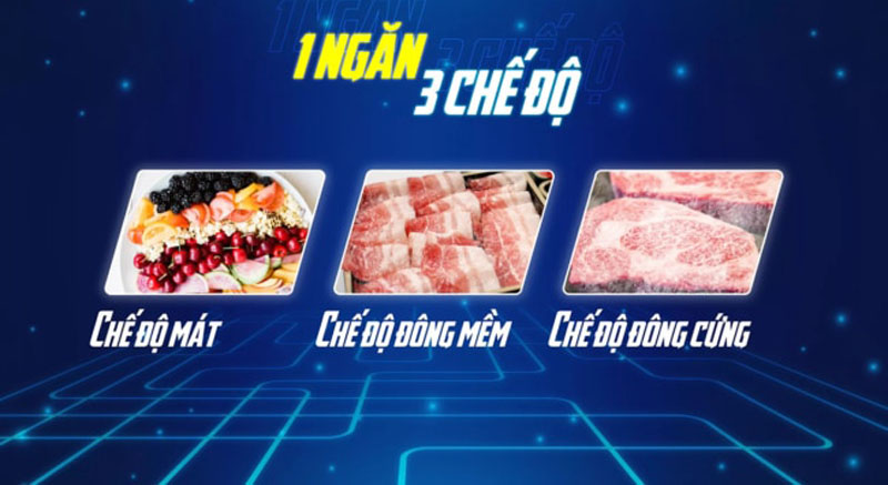 Tủ đông Sanaky VH-1399HYK (1300 lít) - Hàng chính hãng