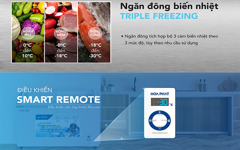Tủ đông trưng bày Hòa Phát HSF-AD6451.C1 - Hàng chính hãng