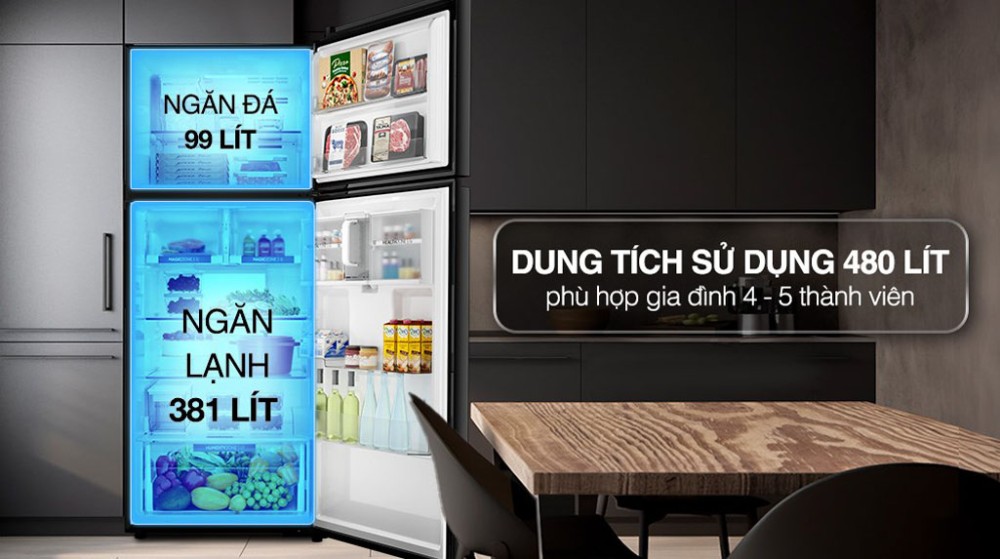 Dung tích lớn 480 lít, đáp ứng nhu cầu trữ thực phẩm cho gia đình đông người.