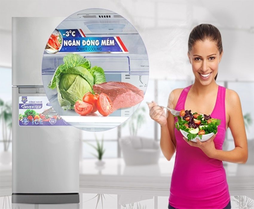 Tủ lạnh 175 lít Inverter Sanaky VH-189HPN - Hàng chính hãng