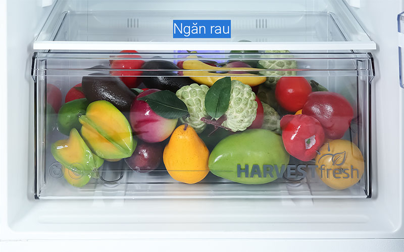 Tủ lạnh Beko Inverter 375 lít RDNT401I50VGB - Hàng chính hãng