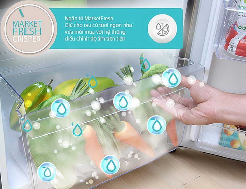 Tủ lạnh Electrolux EBB-2600BG - Hàng chính hãng