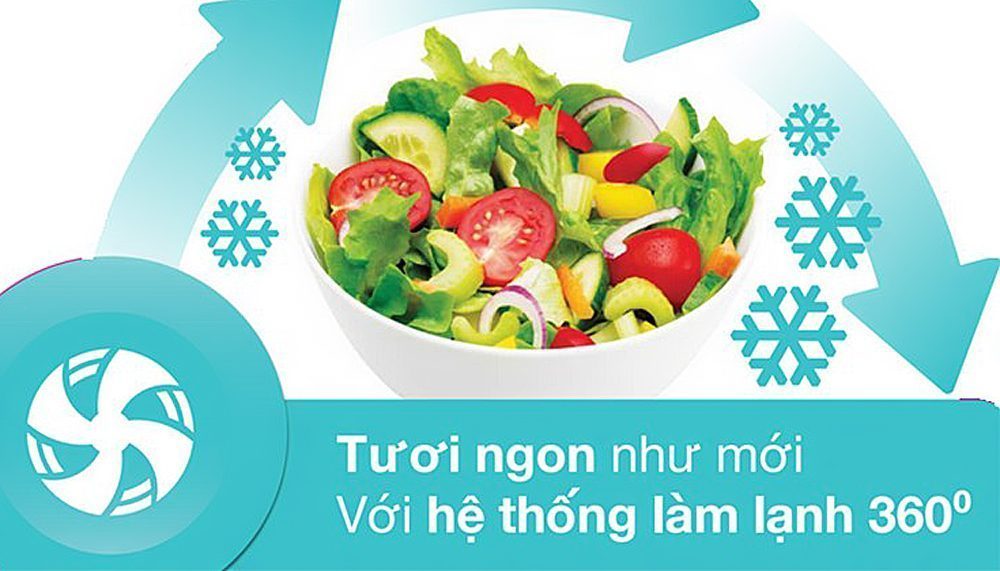 Tủ lạnh Electrolux EBB-2600BG - Hàng chính hãng