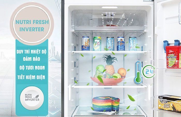 Tủ lạnh Electrolux EME2600MG - Hàng chính hãng