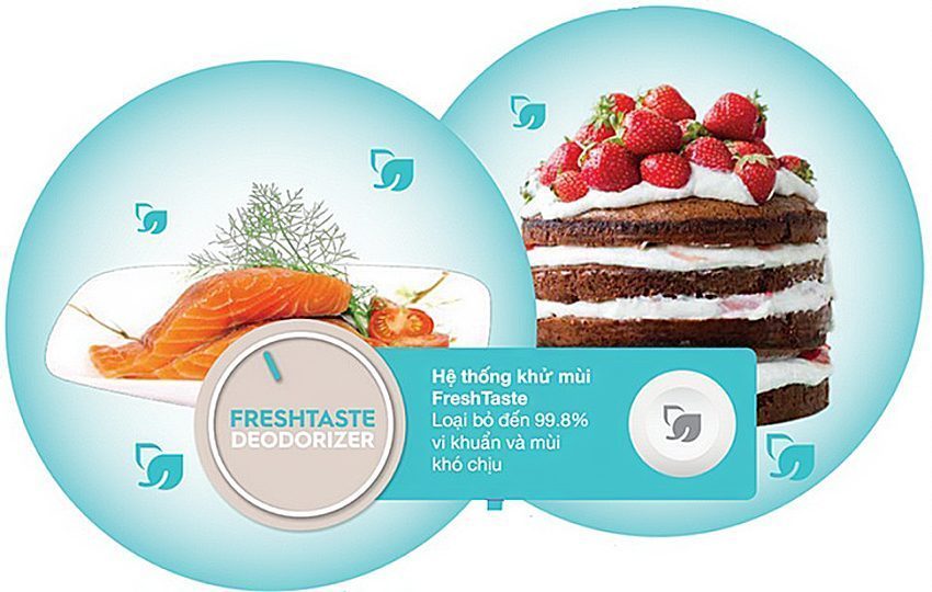 Tủ lạnh Electrolux ESE-6201BG-VN - Hàng chính hãng