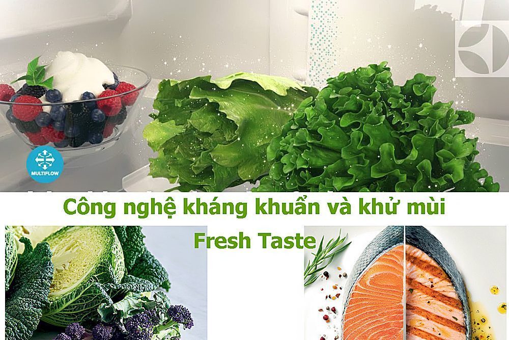 công nghệ kháng khuẩn của tủ lạnh Electrolux ETB-2300MG