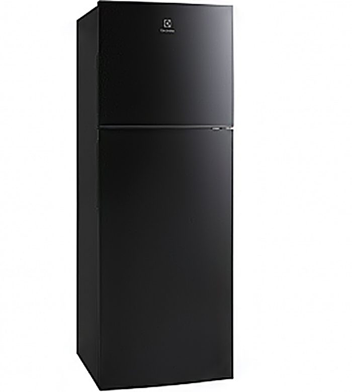 Tủ lạnh Electrolux ETB2102BG - Hàng chính hãng