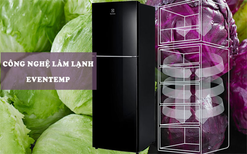 Tủ lạnh Electrolux ETB2502J-H - Hàng chính hãng