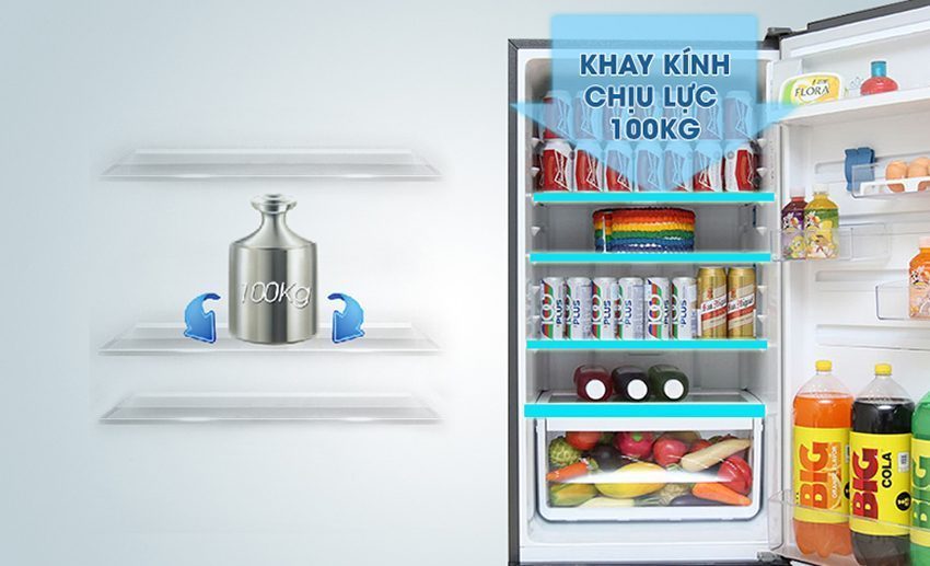Tính năng của tủ lạnh Electrolux ETB3200GG