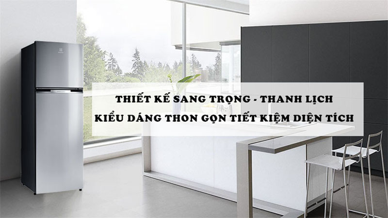 Tủ lạnh Electrolux ETB3700J-A 
