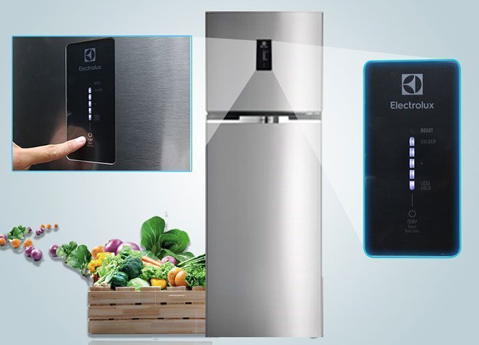 Tủ Lạnh Electrolux ETE3500AG-RVN