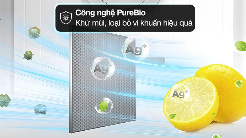 Tủ lạnh Inverter 233 lít Toshiba GR-RT303WE-PMV(52) - Hàng chính hãng