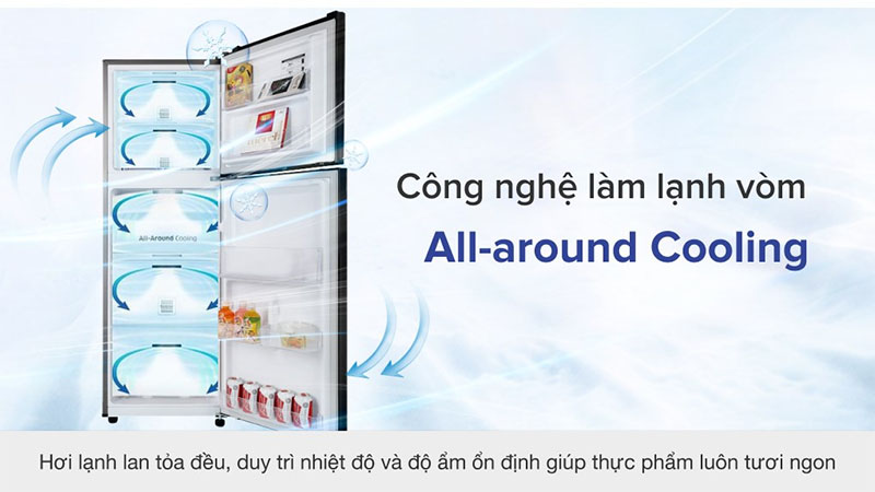 Tủ lạnh Inverter 236 lít Samsung RT22M4032BY/SV - Hàng chính hãng