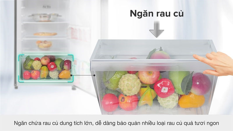 Ngăn rau củ của Tủ lạnh Inverter 249 lít Toshiba GR-RT325WE-PMV(06)-MG