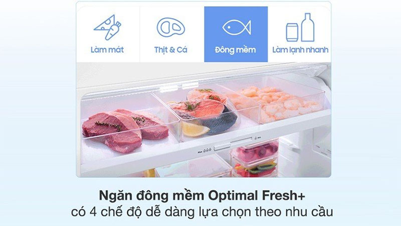 Tủ lạnh Inverter 406 lít Samsung RT42CG6584S9SV - Hàng chính hãng