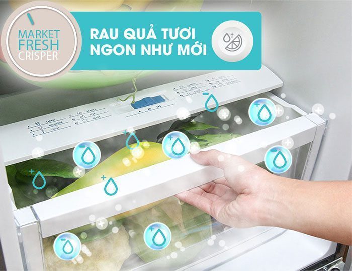 Tủ Lạnh Inverter Electrolux EME3500MG-RVN (335L)