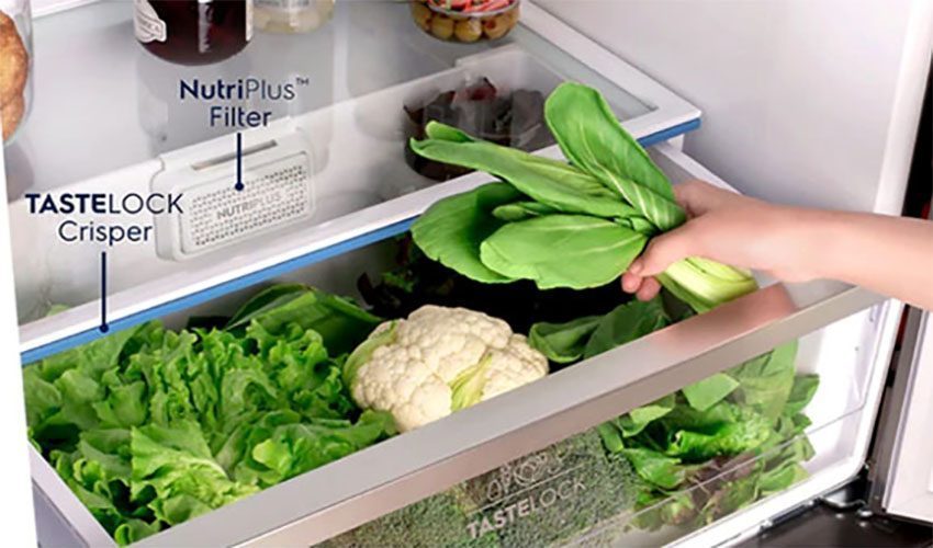 Ngăn chứa TasteLock của Tủ lạnh Inverter Electrolux ETB4600B-H