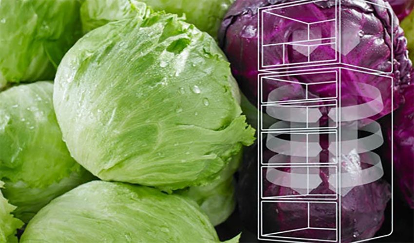 Công nghệ làm lạnh 360 độ của Tủ lạnh Inverter Electrolux ETB4600B-H