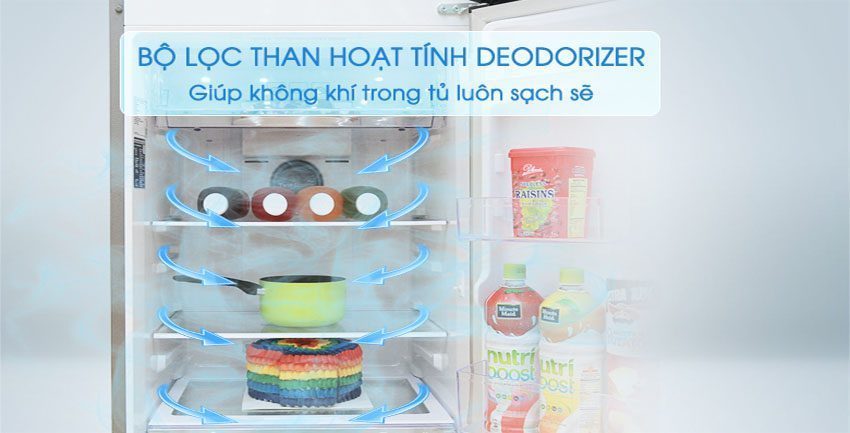 Bộ lọc than hoạt tính của Tủ lạnh Inverter Samsung RT29K5532S8/SV 