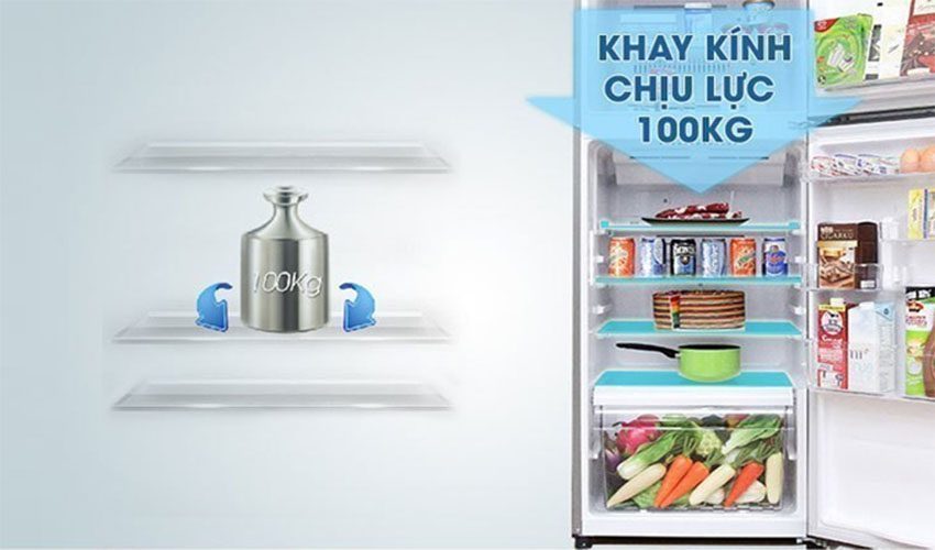 Khay trữ của tủ lạnh Inverter Toshiba GR-A25VU-UK