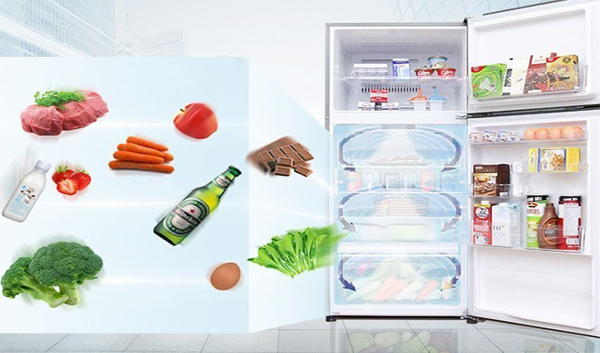 Tủ lạnh Inverter Toshiba GR-A36VUBZ-DS - Hàng chính hãng